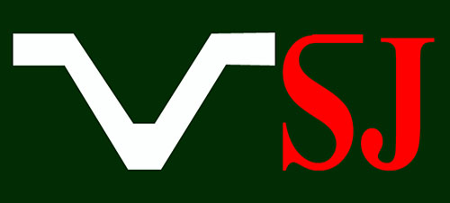 CÔNG TY GIÀY VIỆT SUN