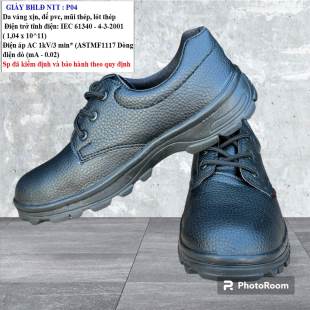 Giày BHLD